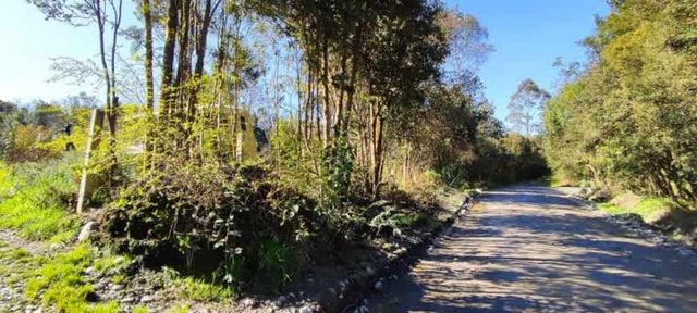 Terreno Urbano Trapen