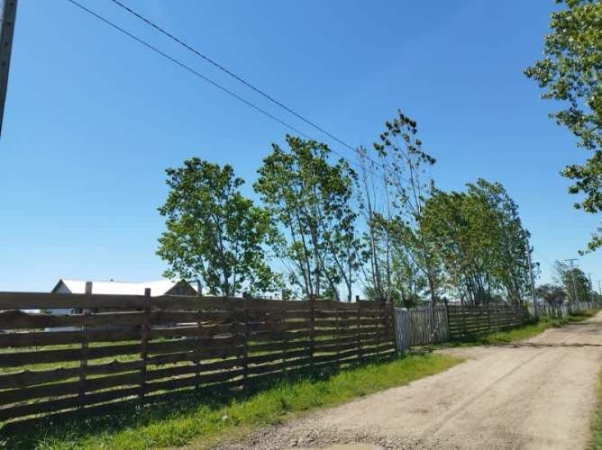 Parcela 3 KM COMUNA SAN NICOLAS