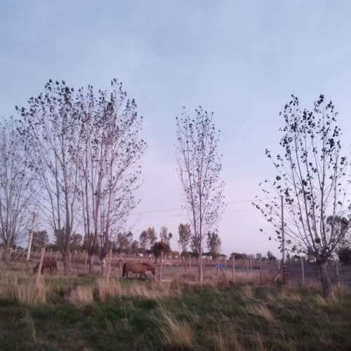 Parcela 3 KM COMUNA SAN NICOLAS