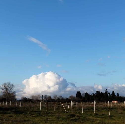 Parcela 3 KM COMUNA SAN NICOLAS