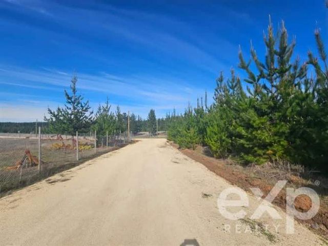 PARCELA Provincia Cardenal Caro