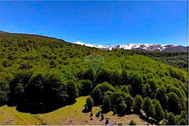 En venta terreno de montaña coyhaique - patagonia