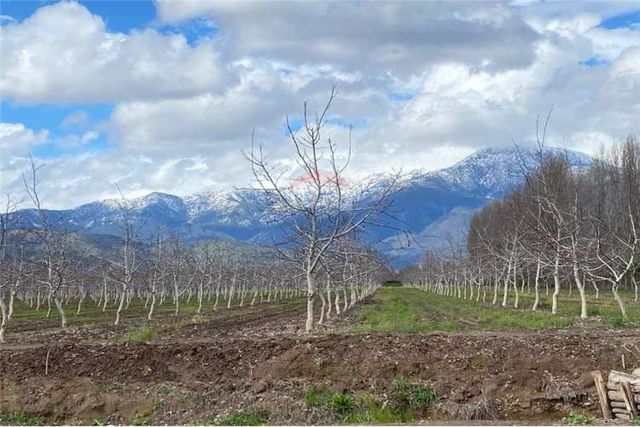 Parcelas de 5000 m2 en paine