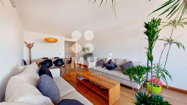 DEPARTAMENTO El Vergel / República de Cuba