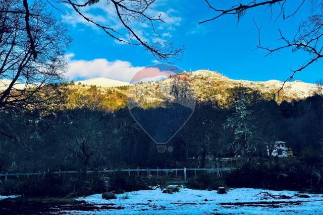 Parcela de 5,000 m2 en curarrehue, pucón