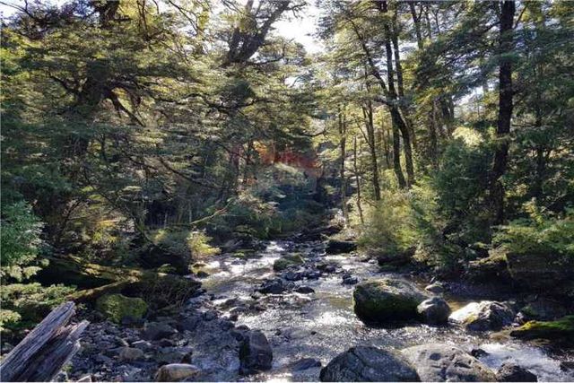 Parcela de ensueño en melipeuco.