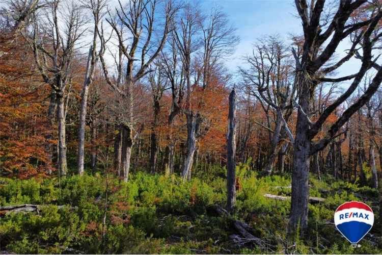 Predio para inversion - los nevados , pucon