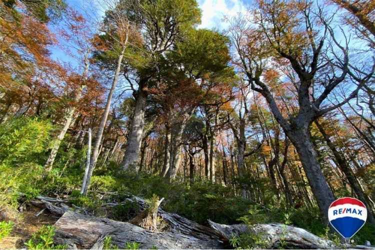 Predio para inversion - los nevados , pucon