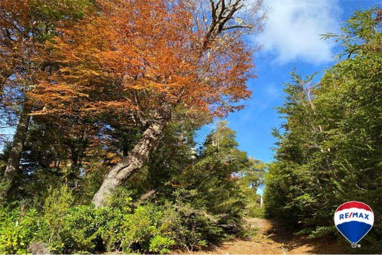 Predio para inversion - los nevados , pucon