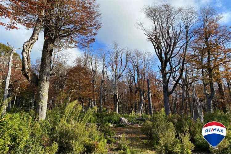Predio para inversion - los nevados , pucon