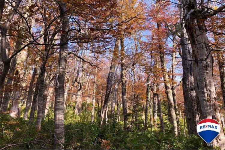 Predio para inversion - los nevados , pucon
