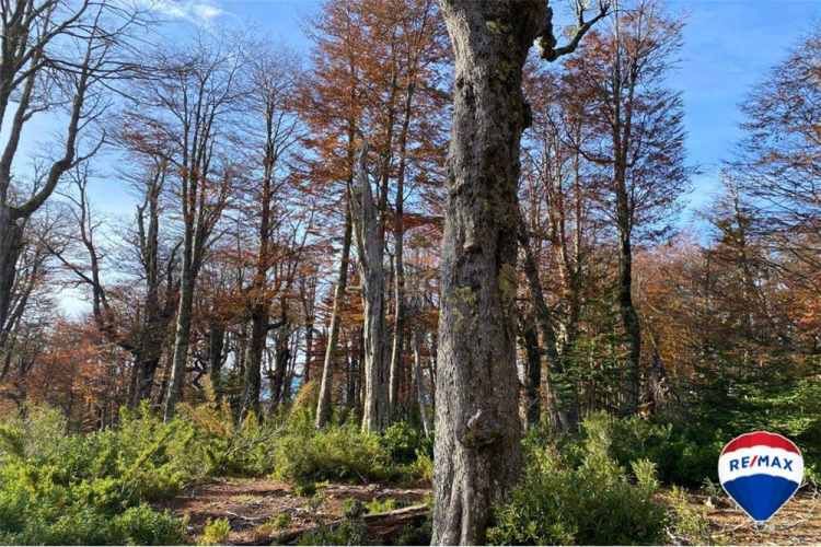 Predio para inversion - los nevados , pucon