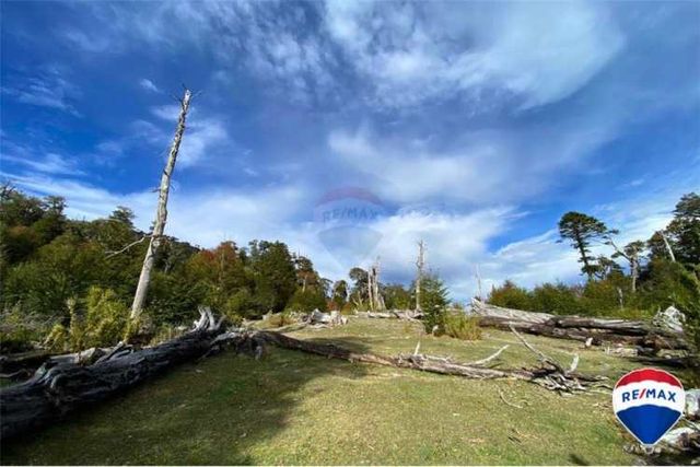 Se vende campo para inversión - huife pucon chile