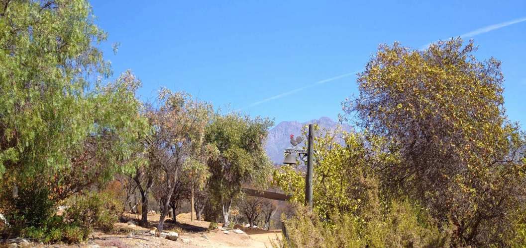 Casa de Campo (114995)