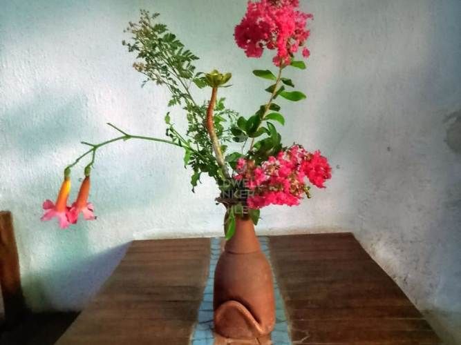 Venta Comercial - Restaurante Rústico