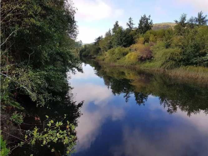 Parcela con casa en Antilhue, Valdivia