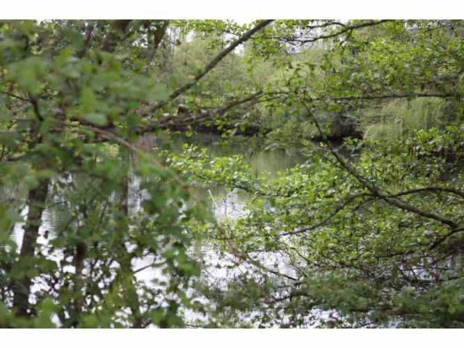 Parcela con casa en Antilhue, Valdivia