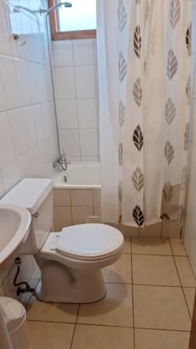 Arrienda casa amoblada