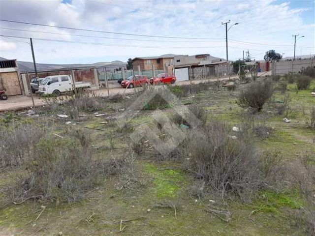 SITIO La Rinconada de Coquimbo