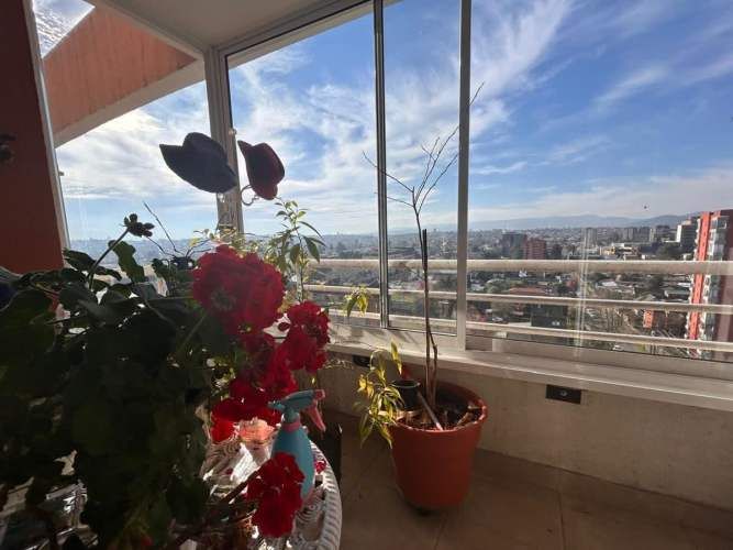 DEPARTAMENTO ED. DON SIMON XIV