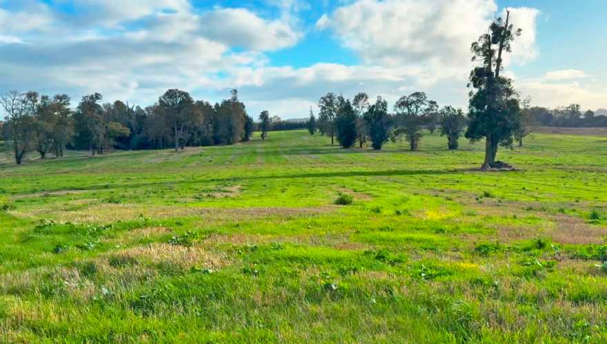 Oportunidad, macroparcela de 8,1 Hectáreas Lago Ranco