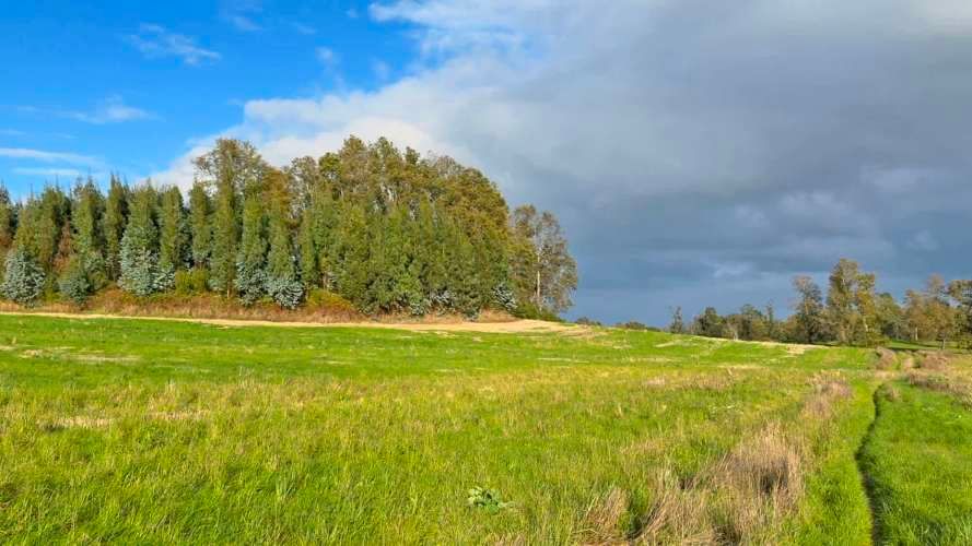 Oportunidad, macroparcela de 8,1 Hectáreas Lago Ranco