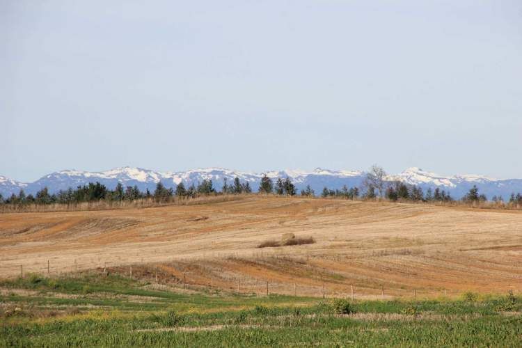Oportunidad, macroparcela de 8,1 Hectáreas Lago Ranco