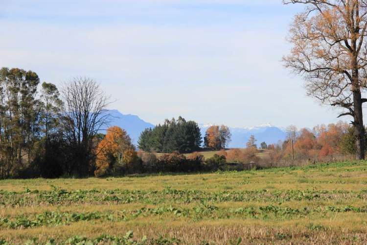Oportunidad, macroparcela de 8,1 Hectáreas Lago Ranco