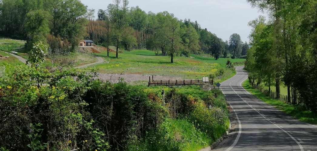 Oportunidad, macroparcela de 8,1 Hectáreas Lago Ranco