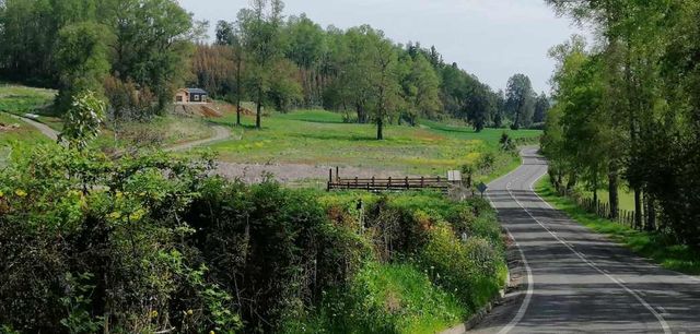 Oportunidad, macroparcela de 8,1 Hectáreas Lago Ranco