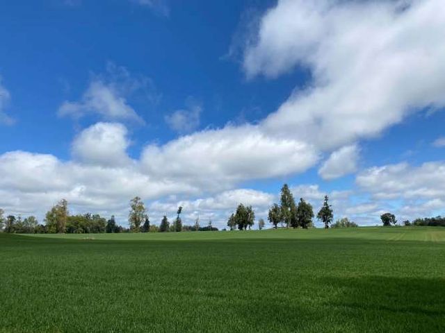 Hermosa macroparcela de 16 Hectáreas Lago Ranco