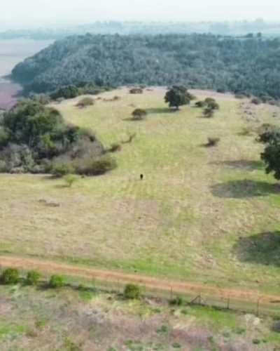 PARCELAS EN EL CONVENTO, SANTO DOMINGO V REGION