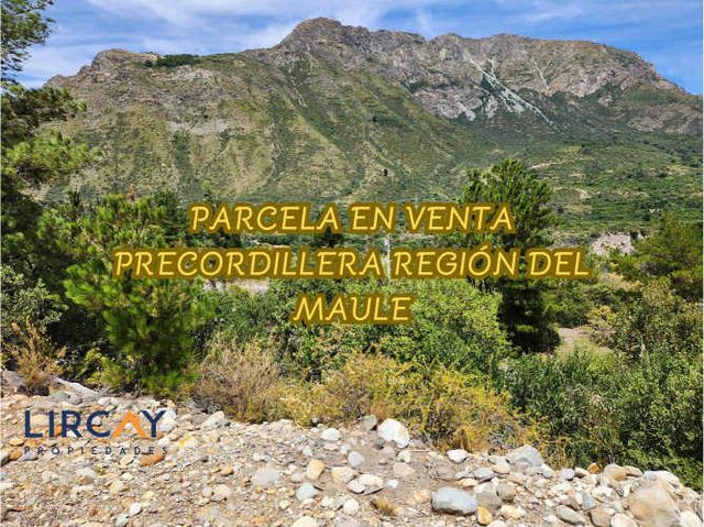 Lote Media Hectárea en medio de la Precordillera Maulina!