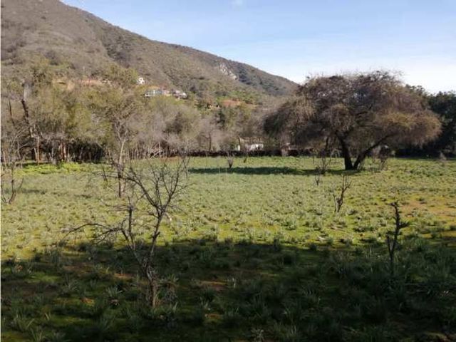 SE VENDE TERRENO OLMUE GRANIZO