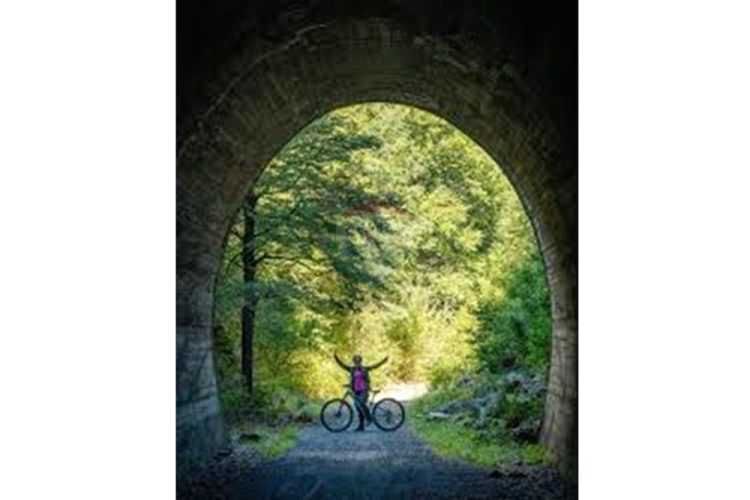 Parcela en venta curacautín