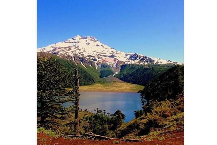 Parcela en venta curacautín