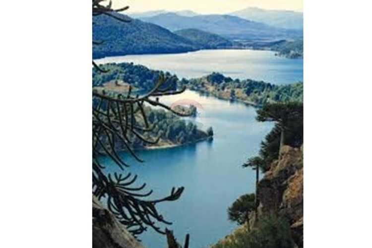 Parcela en venta curacautín