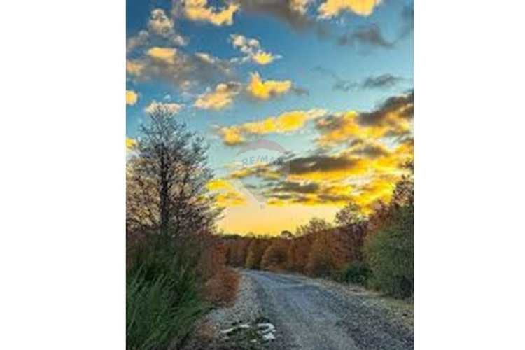 Parcela en venta curacautín