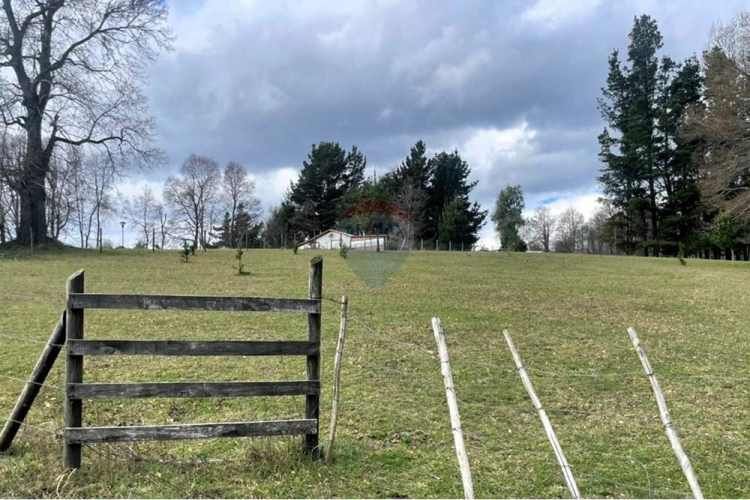 Parcela en venta curacautín