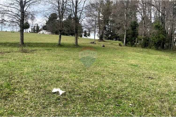 Parcela en venta curacautín