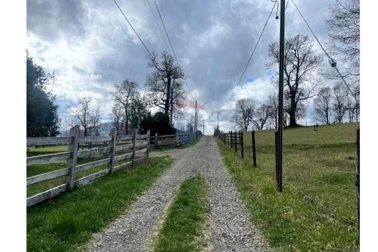 Parcela en venta curacautín