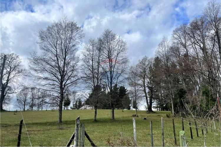 Parcela en venta curacautín