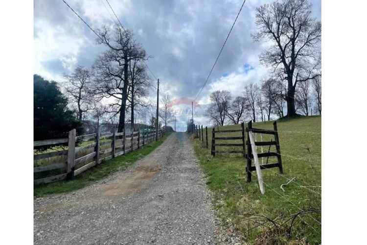 Parcela en venta curacautín