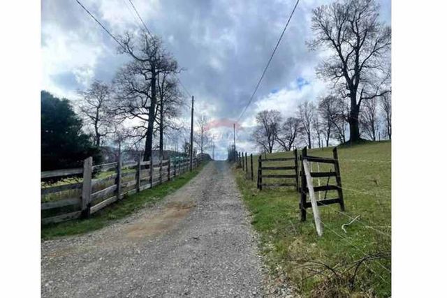 Parcela en venta curacautín