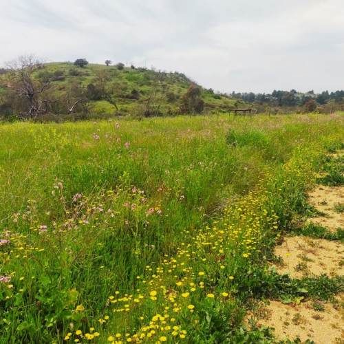 PARCELAS EN SAN ENRIQUE, SANTO DOMINGO V REGION