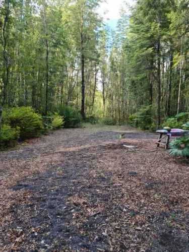 Parcela 1 Ha en Ensenada Pto Varas