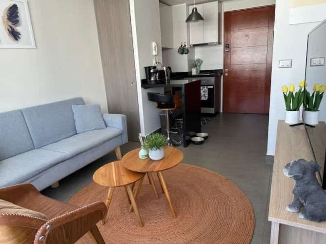 LINDO Y MODERNO DEPTO CERCANO A U. DE CONCEPCIÓN