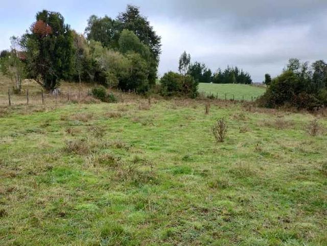 PARCELA Rio Bueno, sector Boquial 1