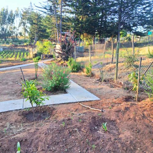 VENTA PARCELA PICHILEMU