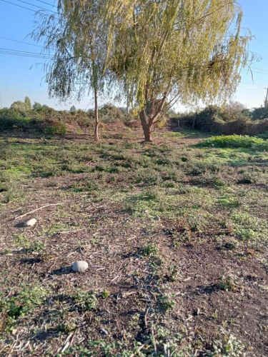 TERRENO CONSTRUCCION Fundo Santa Rita de Quinta Curico